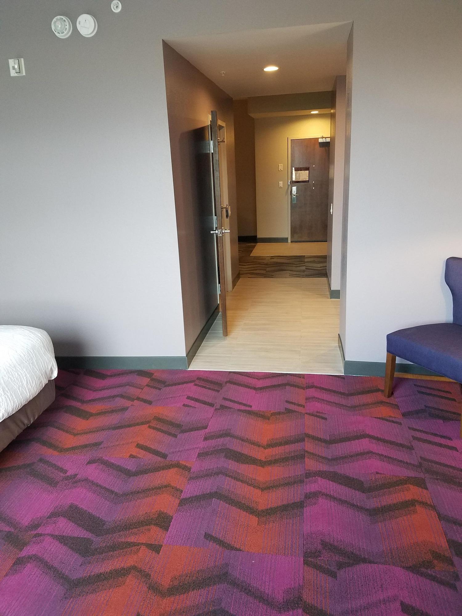 Hilton Garden Inn Tampa Suncoast Parkway Lutz Ngoại thất bức ảnh